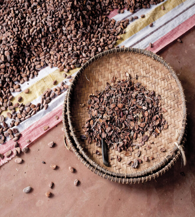 Sambirano-Cacao Kultur