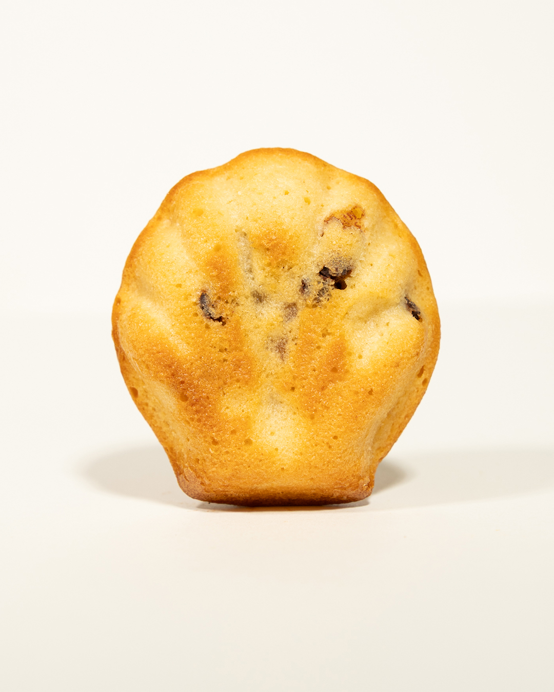 Jakobsmuschel Aprikose