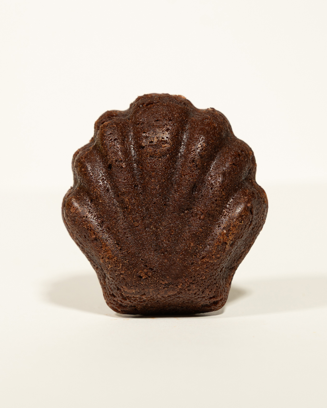 Jakobsmuschel Schoggi